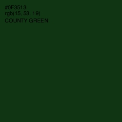 #0F3513 - County Green Color Image