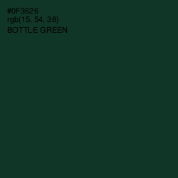 #0F3626 - Bottle Green Color Image