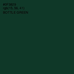 #0F3829 - Bottle Green Color Image