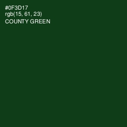 #0F3D17 - County Green Color Image