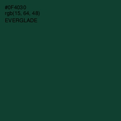 #0F4030 - Everglade Color Image