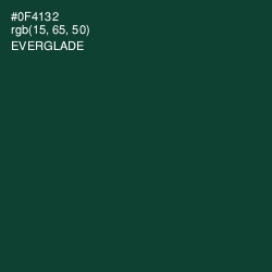 #0F4132 - Everglade Color Image