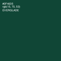 #0F4635 - Everglade Color Image