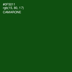 #0F5011 - Camarone Color Image