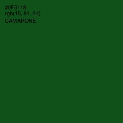 #0F5118 - Camarone Color Image