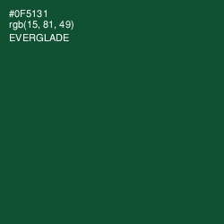 #0F5131 - Everglade Color Image