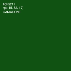 #0F5211 - Camarone Color Image