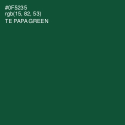 #0F5235 - Te Papa Green Color Image