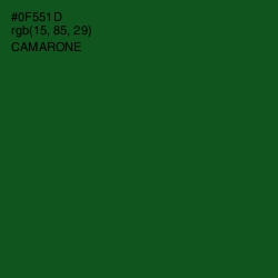 #0F551D - Camarone Color Image