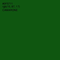 #0F5711 - Camarone Color Image