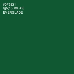 #0F5831 - Everglade Color Image
