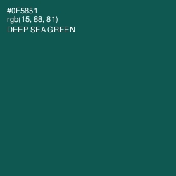 #0F5851 - Deep Sea Green Color Image