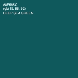 #0F585C - Deep Sea Green Color Image