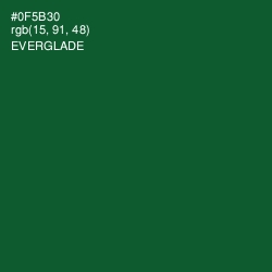 #0F5B30 - Everglade Color Image