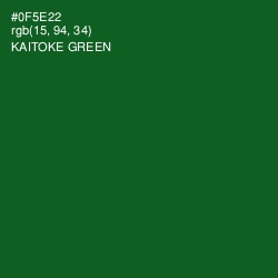 #0F5E22 - Kaitoke Green Color Image