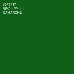 #0F5F17 - Camarone Color Image