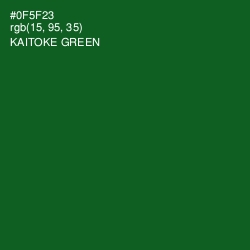 #0F5F23 - Kaitoke Green Color Image