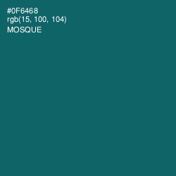 #0F6468 - Mosque Color Image
