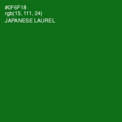 #0F6F18 - Japanese Laurel Color Image