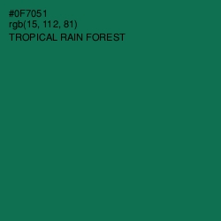 #0F7051 - Tropical Rain Forest Color Image