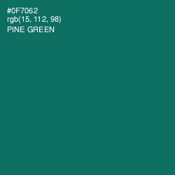 #0F7062 - Pine Green Color Image