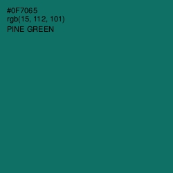 #0F7065 - Pine Green Color Image