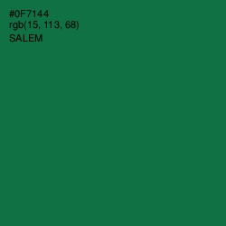 #0F7144 - Salem Color Image