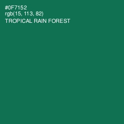 #0F7152 - Tropical Rain Forest Color Image