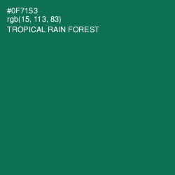 #0F7153 - Tropical Rain Forest Color Image