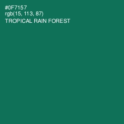 #0F7157 - Tropical Rain Forest Color Image