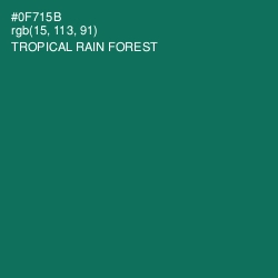 #0F715B - Tropical Rain Forest Color Image