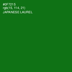 #0F7215 - Japanese Laurel Color Image