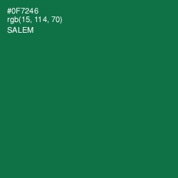 #0F7246 - Salem Color Image