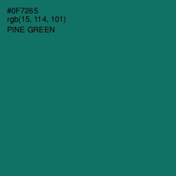 #0F7265 - Pine Green Color Image