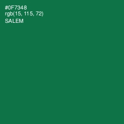 #0F7348 - Salem Color Image