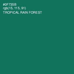 #0F735B - Tropical Rain Forest Color Image