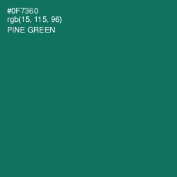 #0F7360 - Pine Green Color Image