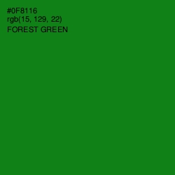 #0F8116 - Forest Green Color Image