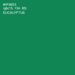 #0F8653 - Eucalyptus Color Image