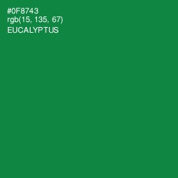 #0F8743 - Eucalyptus Color Image