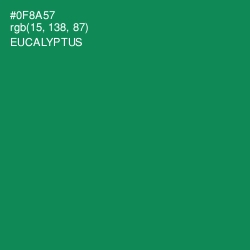 #0F8A57 - Eucalyptus Color Image