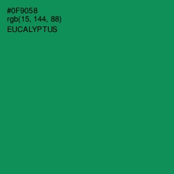 #0F9058 - Eucalyptus Color Image