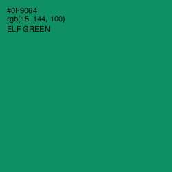 #0F9064 - Elf Green Color Image