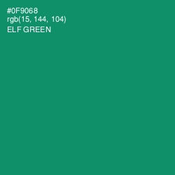 #0F9068 - Elf Green Color Image