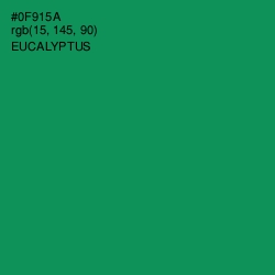 #0F915A - Eucalyptus Color Image