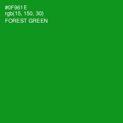 #0F961E - Forest Green Color Image