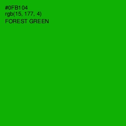 #0FB104 - Forest Green Color Image