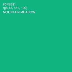 #0FB581 - Mountain Meadow Color Image