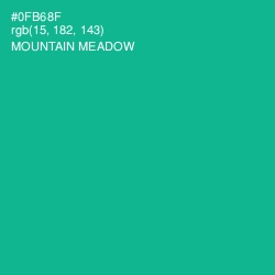 #0FB68F - Mountain Meadow Color Image