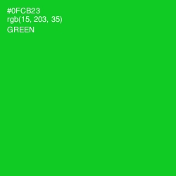 #0FCB23 - Green Color Image